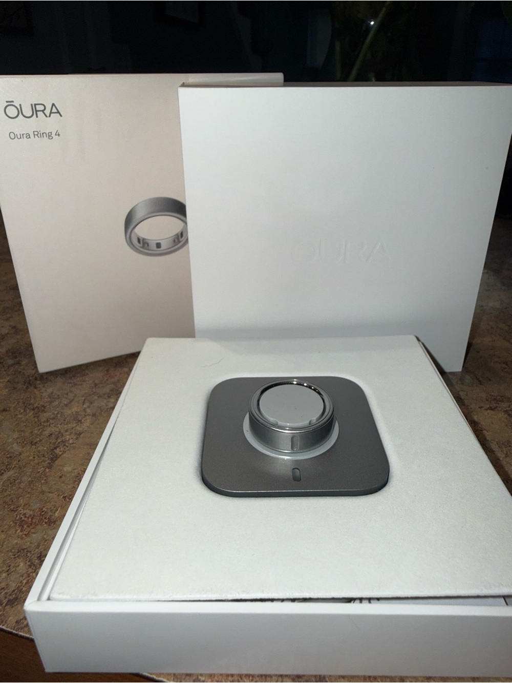 Oura Ring 4 Size 9 Brushed Silver